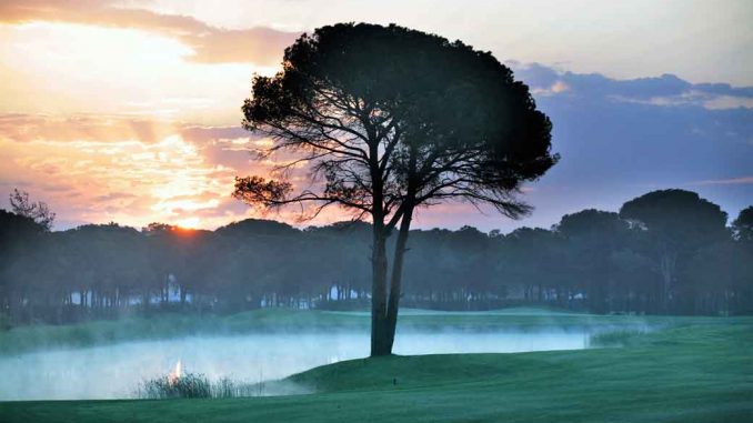 Montgomerie_1