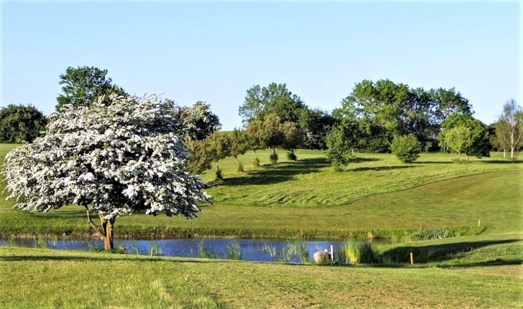 Storstilet samarbejde skal hente flere golfere Als – GolfXtra