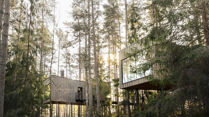 Trakt Forest Hotel_1